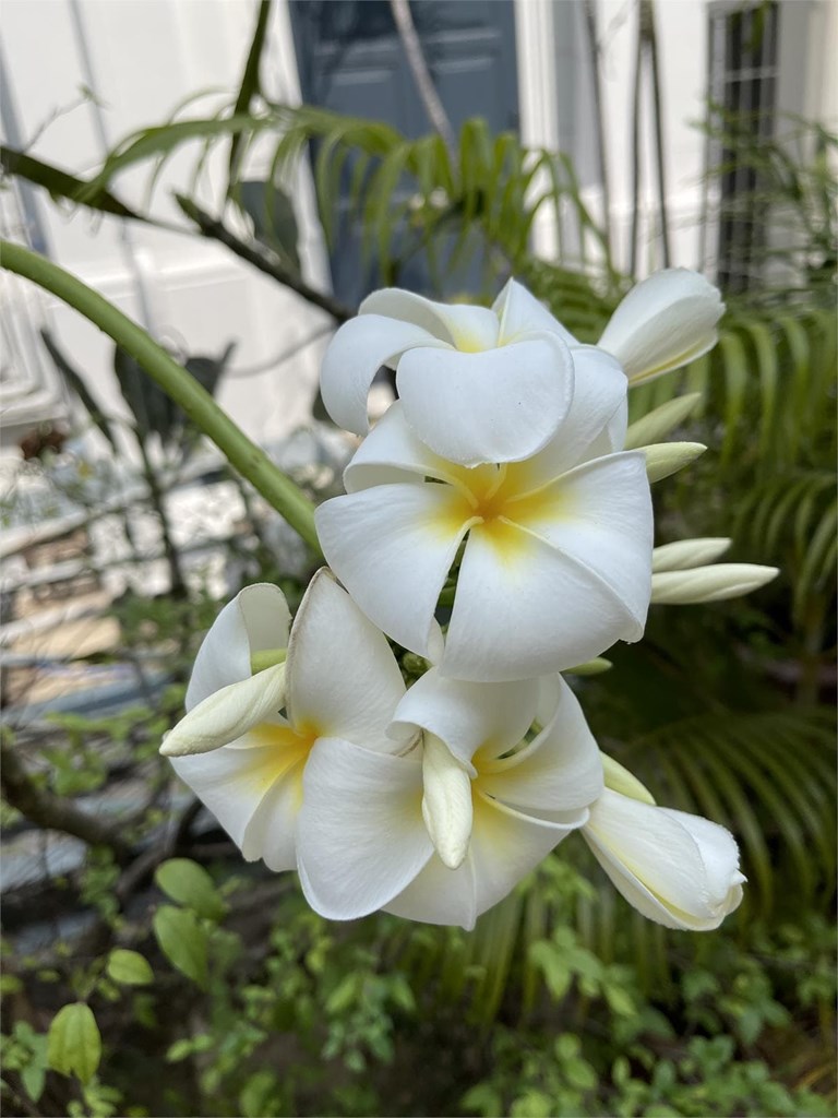   Cómo recibir una crítica