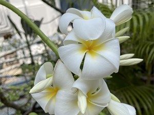   Cómo recibir una crítica