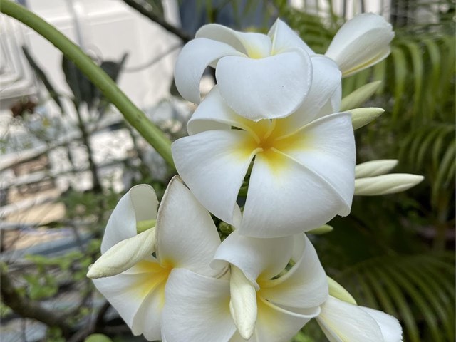   Cómo recibir una crítica