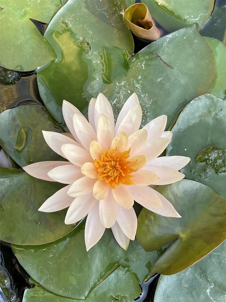 Las consecuencias de nuestro estilo de vida