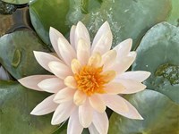 Las consecuencias de nuestro estilo de vida